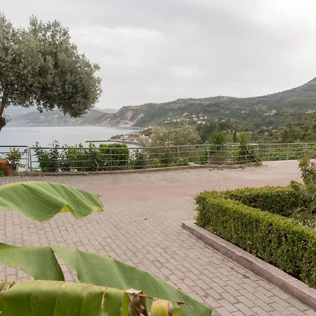 Panorama *